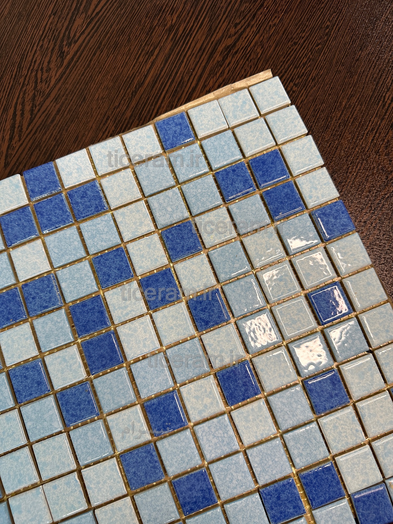 سرامیک استخری دریا گلدیس