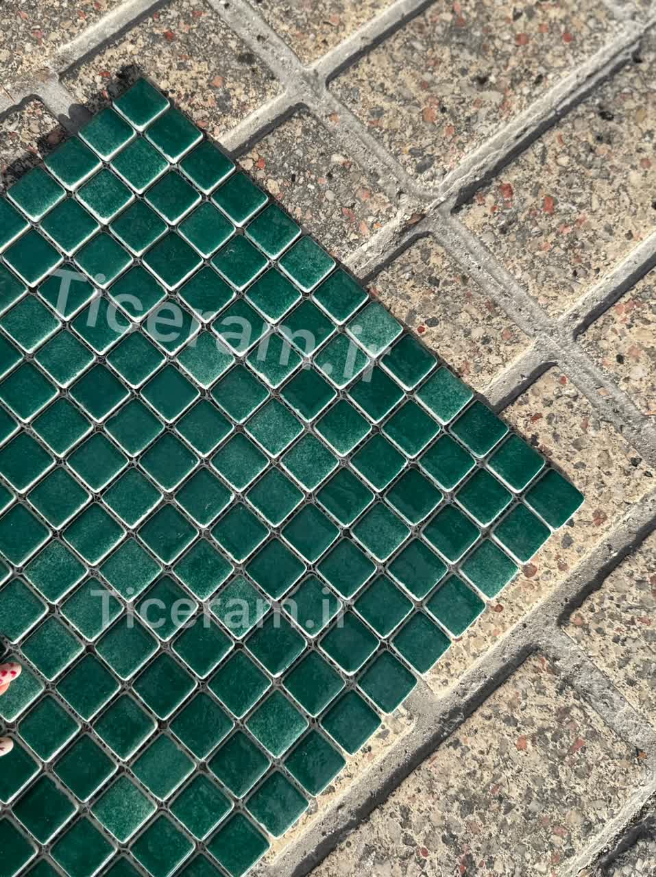 کاشی سبز استخری تامر