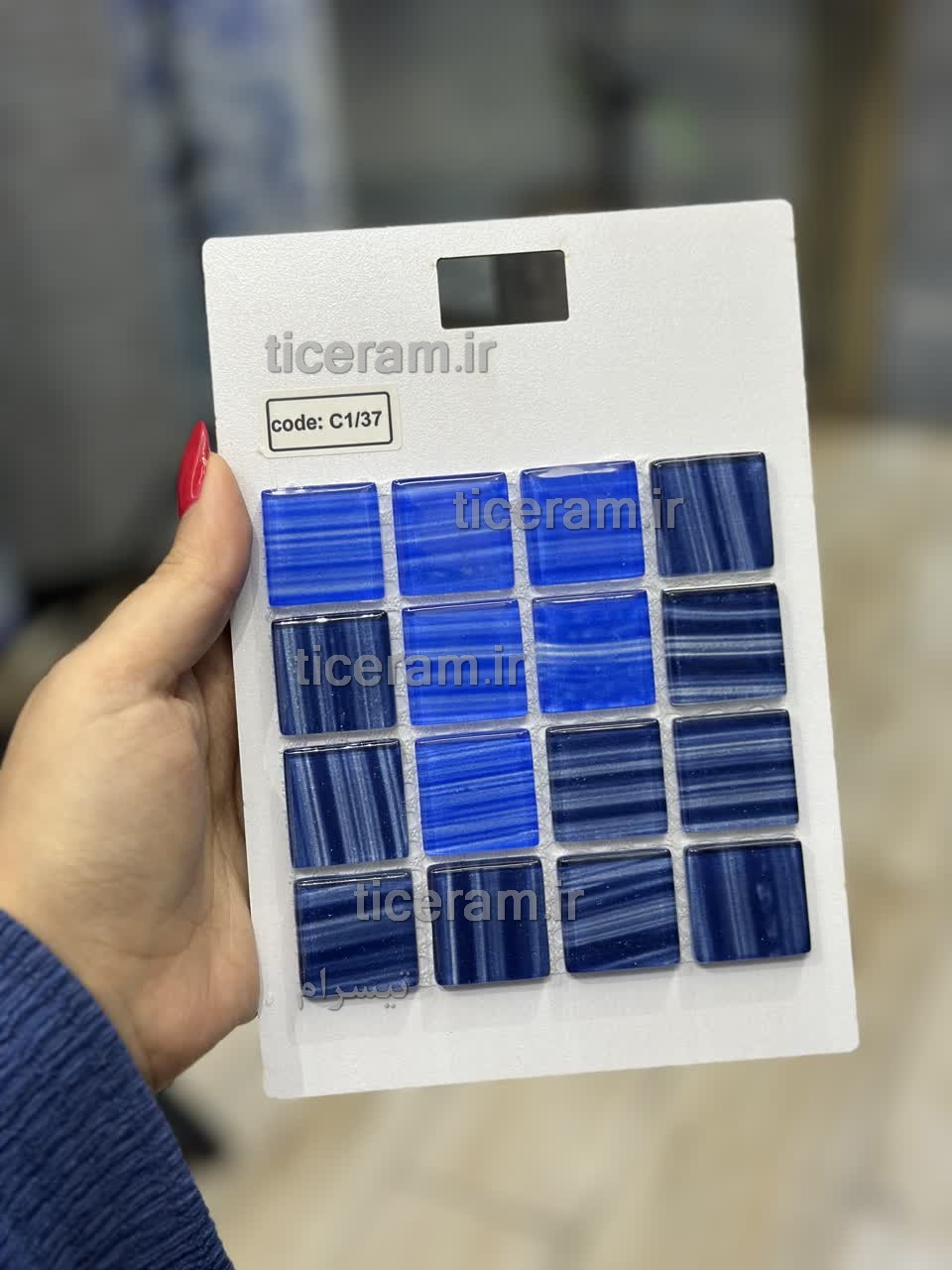 سرامیک پشت توری آبی استخری